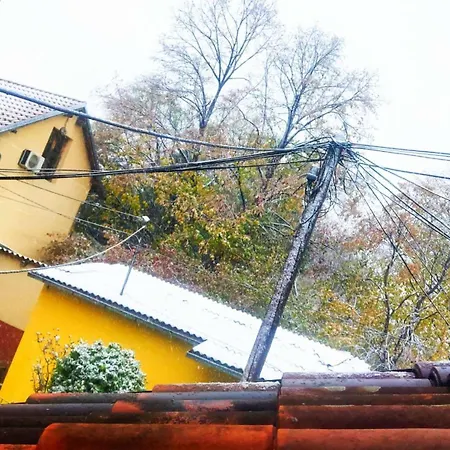Dragon Gate Белград